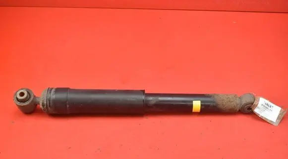 Renault Laguna III Rear shock absorber/damper 562100007R