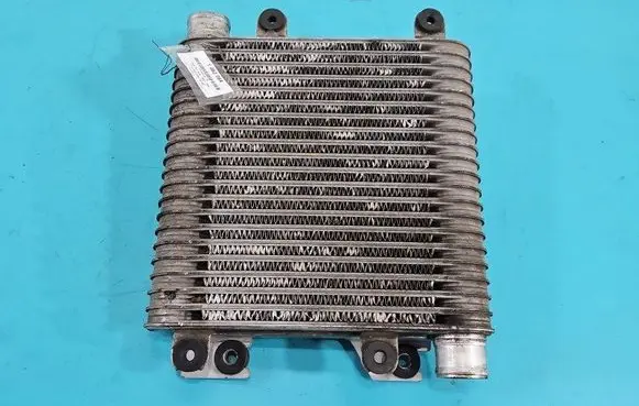 Opel Monterey Intercooler radiator 8971810921 IMPRK1462984