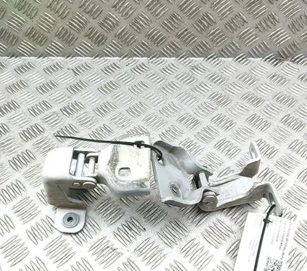 Opel Vivaro Front door hinges set 804005400R 93450652