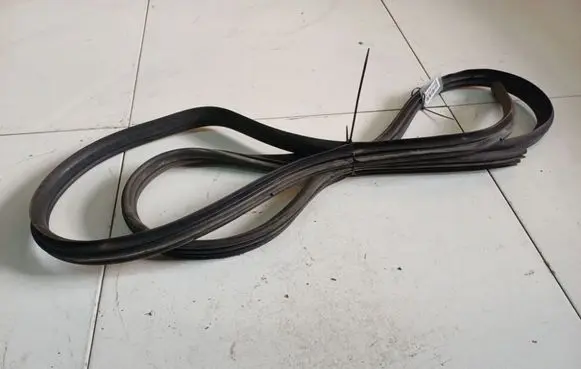 Renault Scenic I Rubber seal rear door 