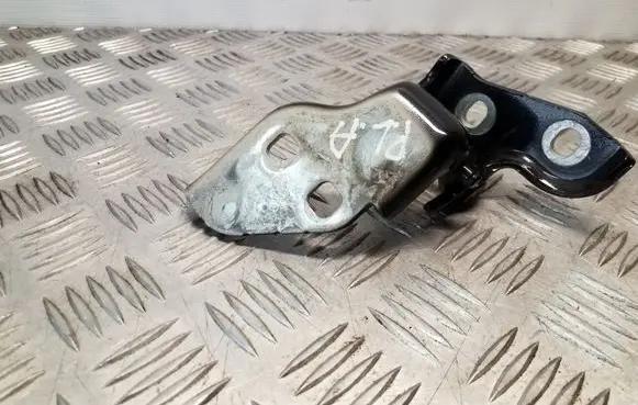 Peugeot Boxer Front door lower hinge 