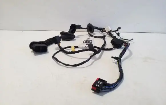 Rear door wiring loom