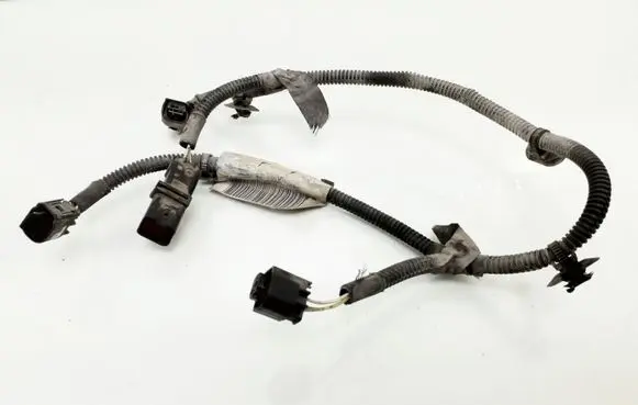Citroen C6 Other wiring loom 9684021C