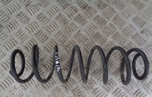 Rear coil spring
