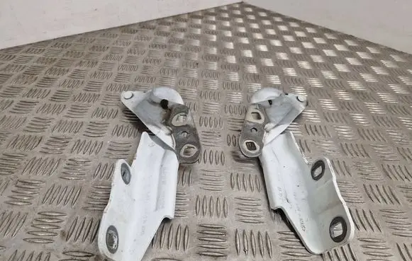 Ford S-MAX Engine bonnet/hood hinges EM2BR16801 EM2BR16800