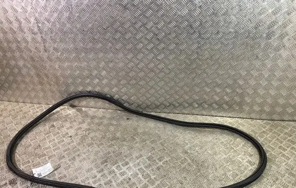 Front door rubber seal