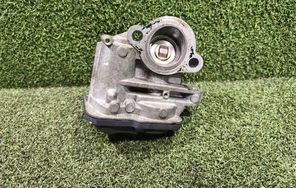 Renault Trafic III (X82) EGR valve 147102408R H8201068965 MS1010312