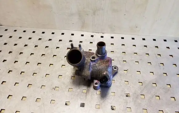 Thermostat/thermostat housing