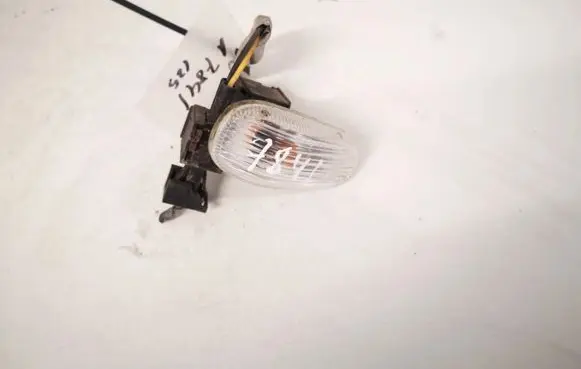 Front fender indicator light