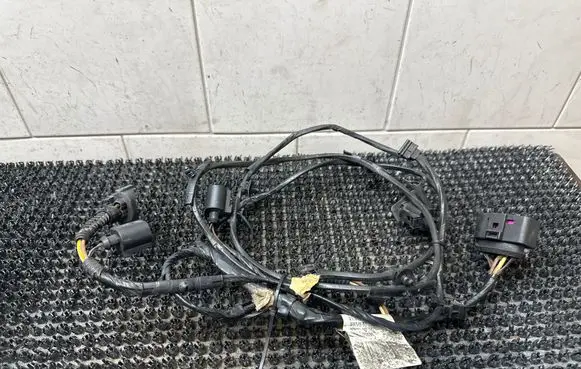 Volkswagen PASSAT CC Parking sensor (PDC) wiring loom 3C8971095AG