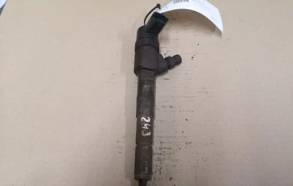 Opel Zafira B Fuel injector 0445110243 AASLBFAAA