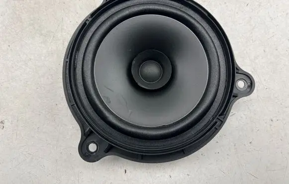Nissan Murano Z52 Rear door speaker EAS16P807A