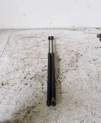 Renault Scenic II - Grand scenic II Tailgate/trunk strut/damper