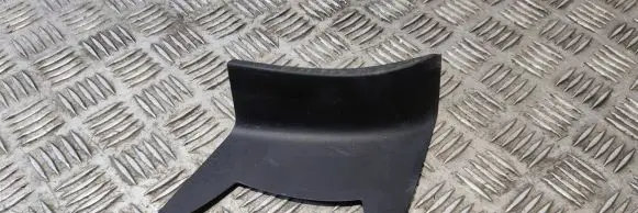 Rear/tail light trim molding
