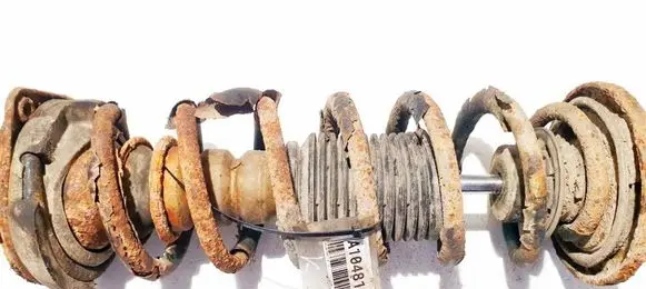 Rear coil spring