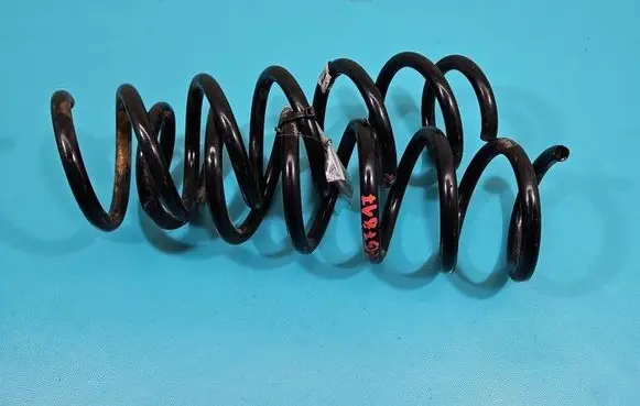 Rear coil spring