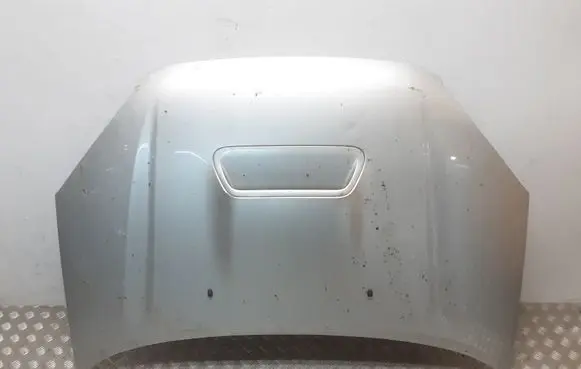 Toyota RAV 4 (XA20) Engine bonnet/hood
