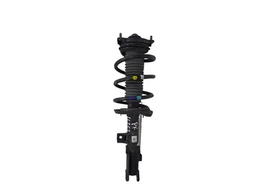Hyundai Tucson TL Front shock absorber with coil spring 54650D7000