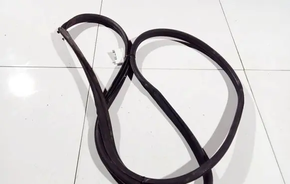 Renault Scenic I Rubber seal rear door 