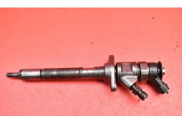 Citroen Berlingo Fuel injector 0445110297