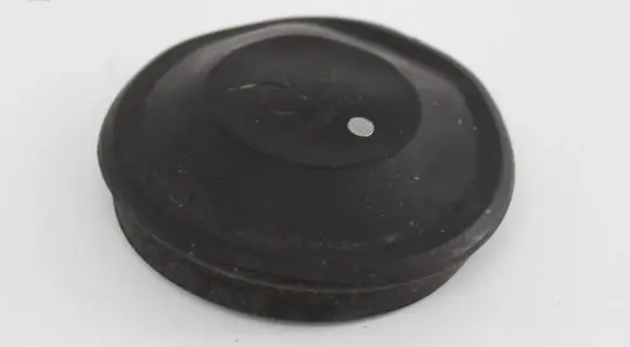 Ford Focus Headlight/headlamp dust cover 00185003