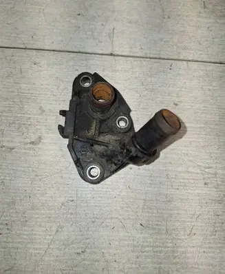 Thermostat/thermostat housing