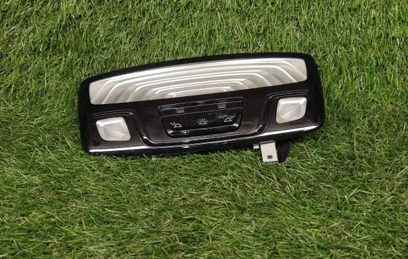 BMW 5 G30 G31 Rear seat light 43684861401 01209710