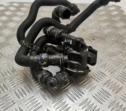 Thermostat/thermostat housing