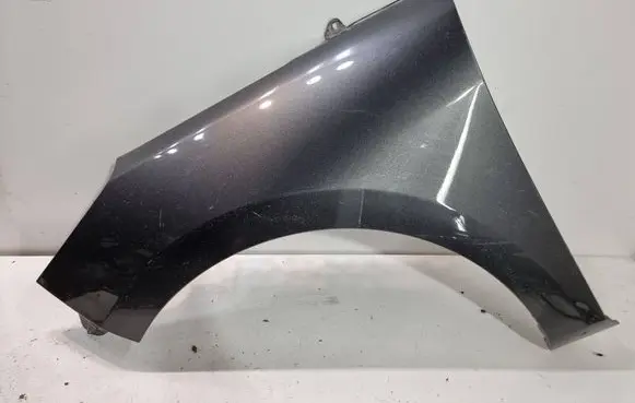 Ford Fiesta Fender