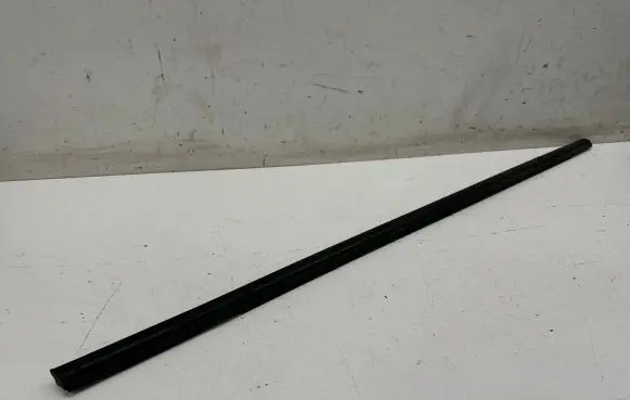 Ford Puma Front door glass trim molding L1TBS20562