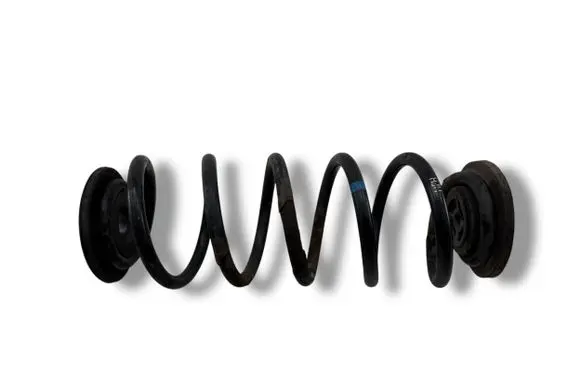 Volkswagen Golf VI Rear coil spring 1K0512297
