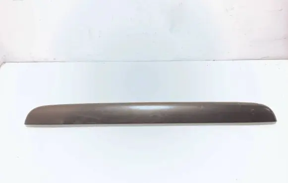 Trunk door license plate light bar