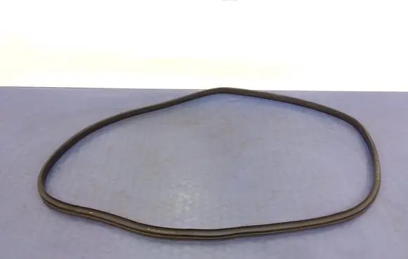 Renault Scenic IV - Grand scenic IV Front door rubber seal 
