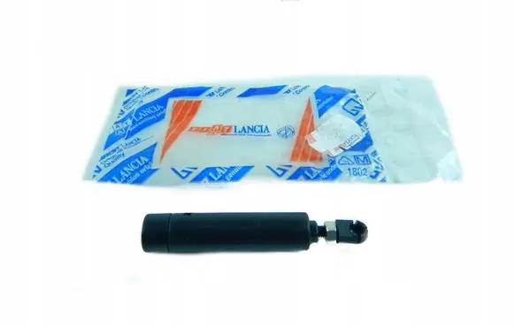 Fiat Bravo Throttle cable 46465260