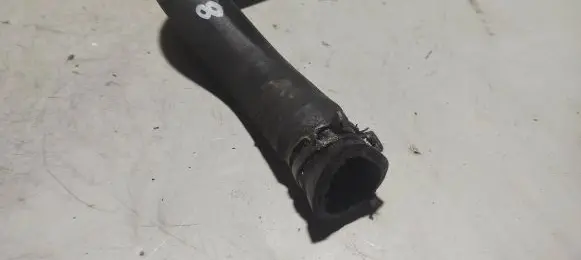 Citroen Berlingo Engine coolant pipe/hose