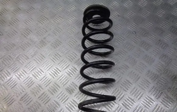 Skoda Octavia Mk2 (1Z) Rear coil spring