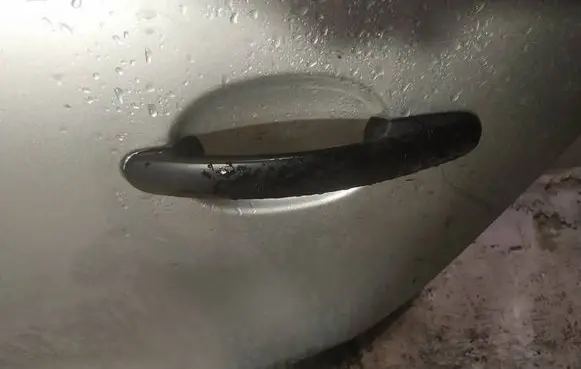Volkswagen Cross Polo Front door exterior handle