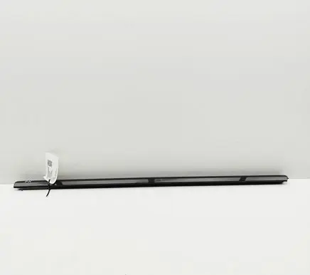 BMW iX Front door glass trim molding 8491343