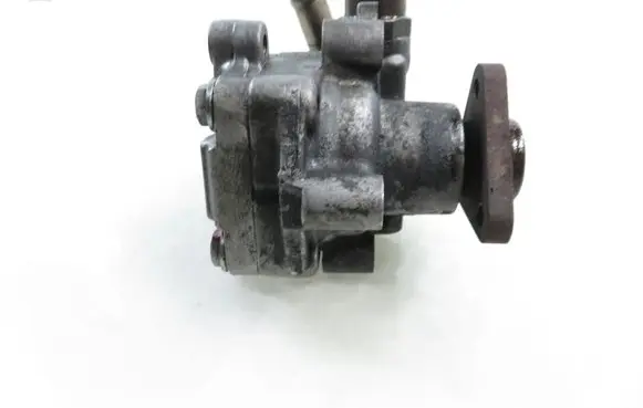 Volkswagen PASSAT B5.5 Power steering pump