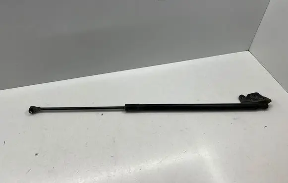Renault Scenic III - Grand scenic III Tailgate/trunk strut/damper 24770 F3535N 19D291