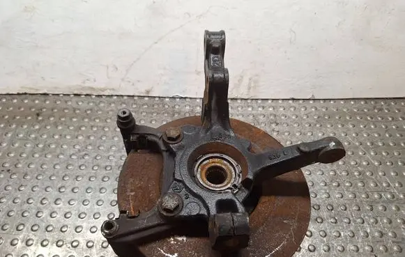 Renault Kangoo II Front wheel hub spindle knuckle S25056930