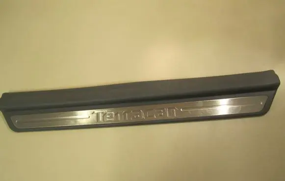 Hyundai Terracan Front sill trim cover 84250H1002