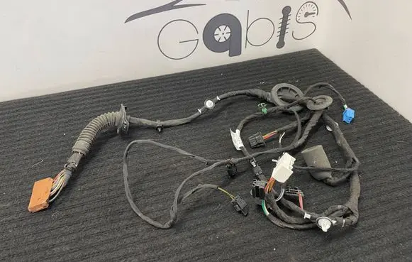 Front door wiring loom