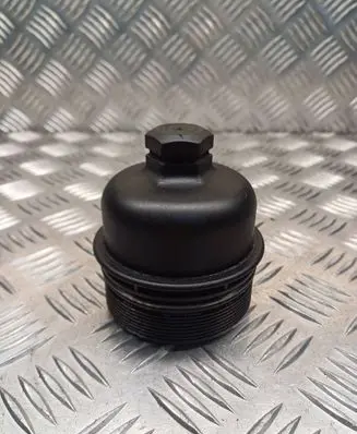Citroen C5 Oil filter cover 9878307