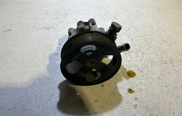 Land Rover Range Rover Sport L320 Power steering pump QVB500400