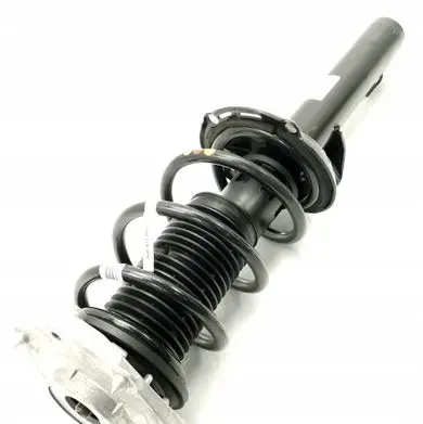 Volkswagen ID.4 Front shock absorber/damper 1EA413023BF