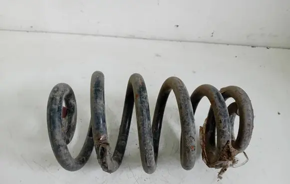 Rear coil spring