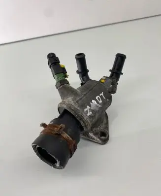 Thermostat/thermostat housing