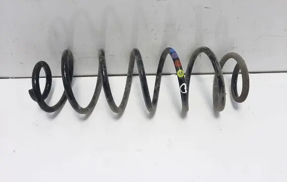 Rear coil spring