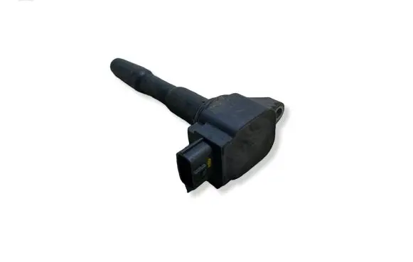 Dacia Sandero II High voltage ignition coil 224332428R 055C64612
